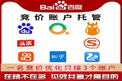 SEM运营公司成功案例解析